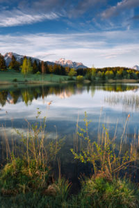 Bavaria, morning on a small idyllic lake in the Allgäu region, Alps in the background, riparian vegetation in the foreground, water reflection Bavaria, morning on a small idyllic lake in the Allgäu region, Alps in the background, riparian vegetation in the foreground, water reflection